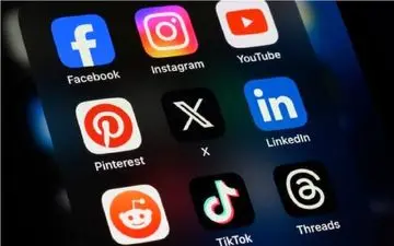 دستگیری فروشنده قارچ جادویی با ۲۰۰۰ فالوور در اینستاگرام؛ کشف ۱۷ کیلو مواد توهم‌زا