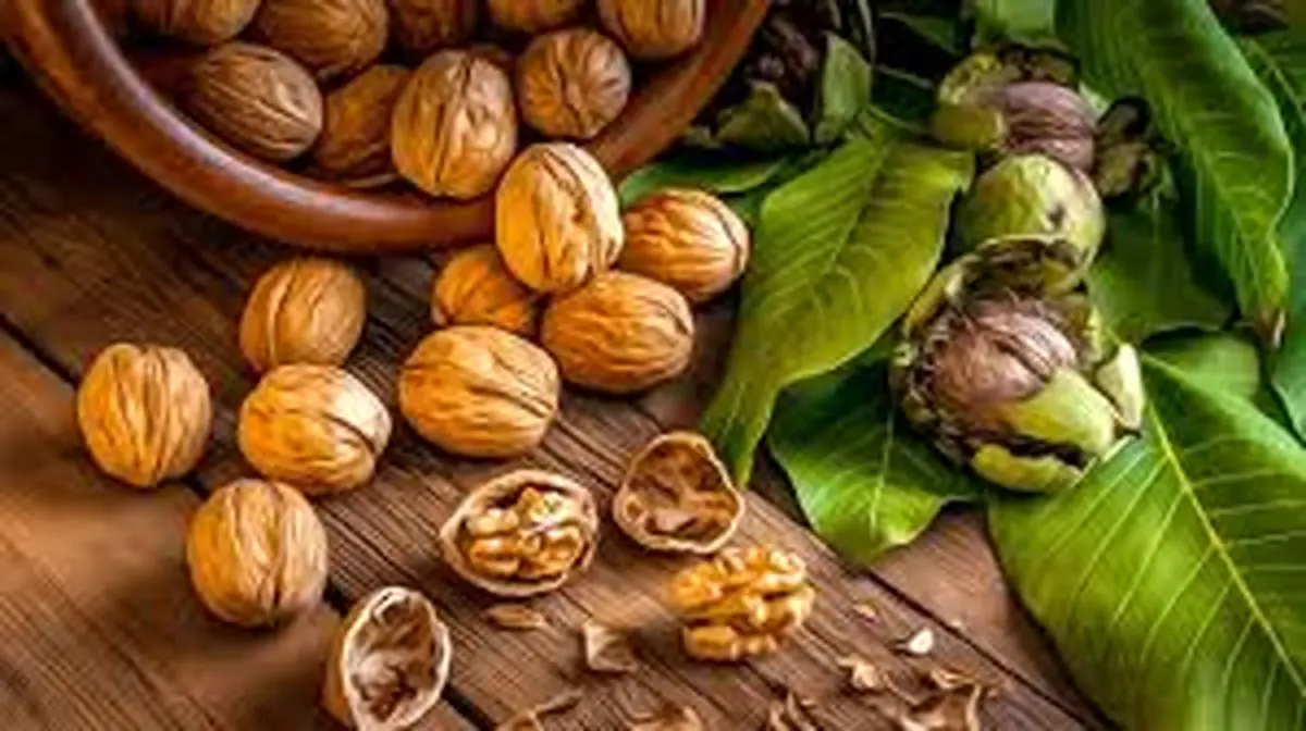 کدام ماده غذایی ضد التهاب است؟