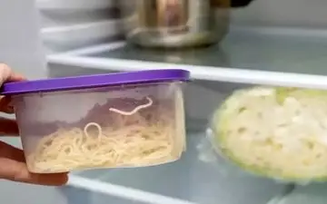 نکات مهم برای سالم ماندن غذاها در یخچال