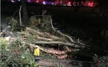 اتفاقی عجیب و نادر که عروسی را به عزا تبدیل کرد+عکس