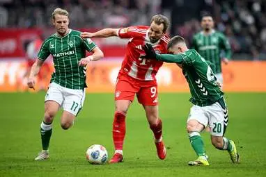 IMG_20260215_023349_707