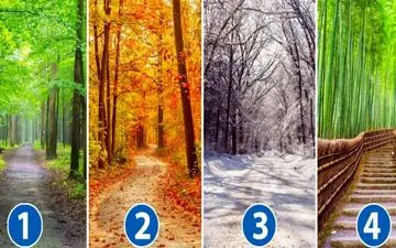 تست شخصیت شناسی| کدام از جاده ها را برای پیاده روی با دوست یا عشق خود انتخاب می کنید؟