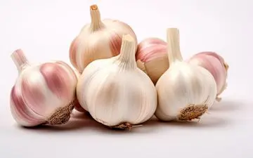 
سریع‌ترین راه رفع بوی سیر دهان 