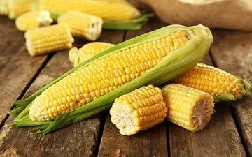 خواص باورنکردنی ذرت که از آن بی خبر مانده اید