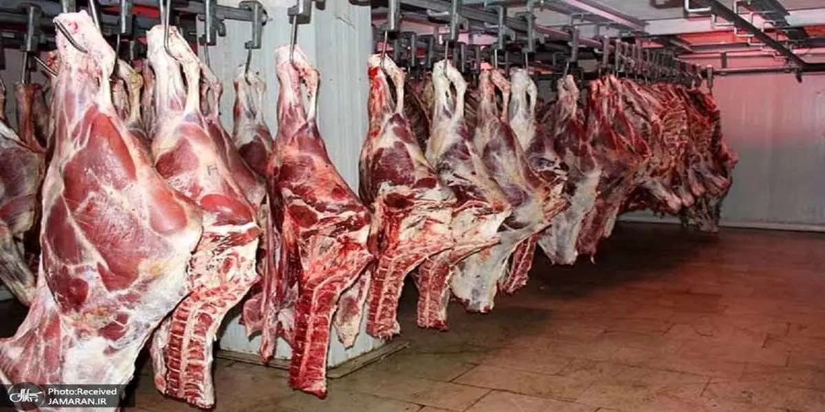 قیمت واقعی گوشت اعلام شد/ دلیل گرانی گوشت چیست؟