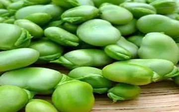 درمان فاویسم از منظر طب سنتی