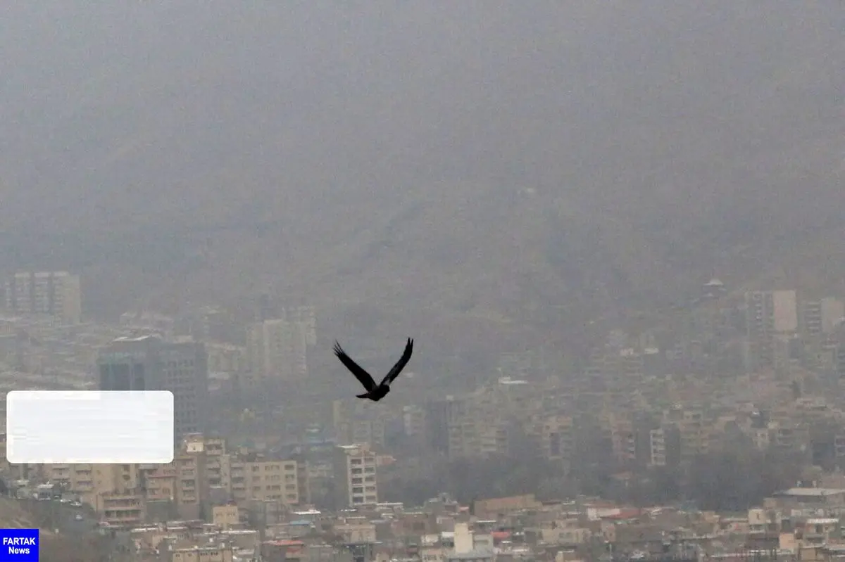عامل آلودگی هوای ساوه از شهر صنعتی است