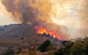 سیلی سرخ آتش بر دامان طبیعت پلدختر