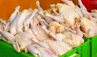 سهم ناچیز ایران از صادرات مرغ 