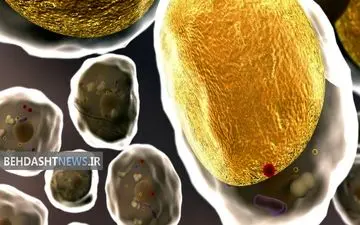 چگونه بفهمیم مسموم شده ایم؟