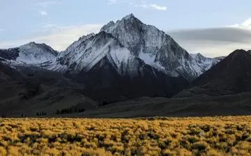 اگر خیلی تیزبینی در ۱۰ ثانیه گرگ را پیدا کن!

