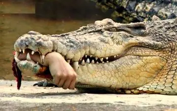 اتفاقی بسیار وحشتناک و دلخراش برای پدر روحانی!