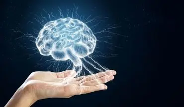 آیا مغز ما آینده را می‌بیند؟ کشف جدید دانشمندان درباره قدرت پیش‌بینی مغز