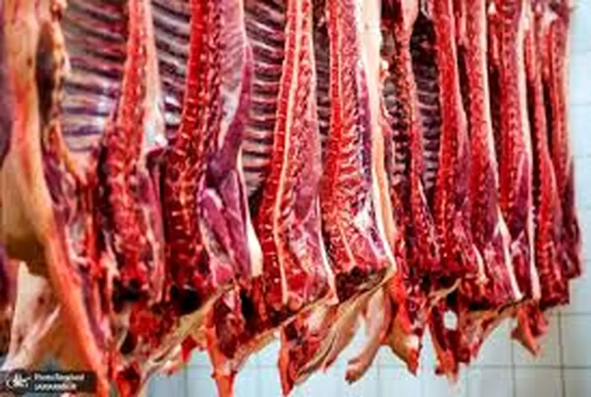 قیمت گوشت چقدر شد؟ گوشت گوسفند ارزان می شود؟
