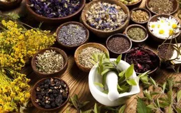 کانال اردوی شبکه سحر «به دنبال داروی سبز»