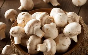 مصرف قارچ برای افراد دیابتی چه فوایدی دارد؟