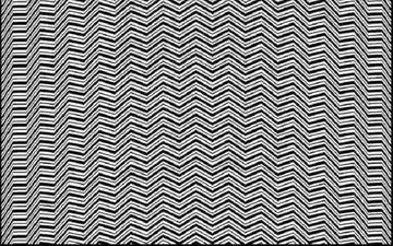 حیوانی پشت خطوط پنهان است، بگو چه حیوانی است! + پاسخ