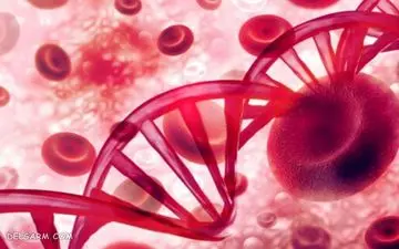 گروه خونی‌ات رو بگو تا بهت بگم چای مناسبت چیه!