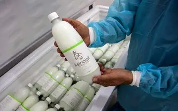 کارخانه‌ای که شیر الاغ می‌فروشد