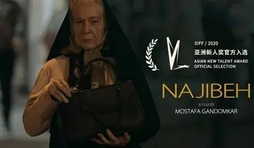 حضور ۲ فیلم ایرانی در بیست و سومین جشنواره‌ شانگهای
