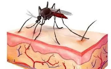 آیا سالک برگشته است؟