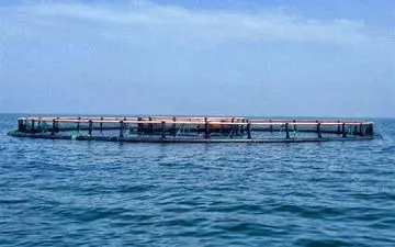 رئیس سازمان شیلات ایران: پنج درصد محصولات آبزی پروری کشور درچهارمحال وبختیاری تولید می شود