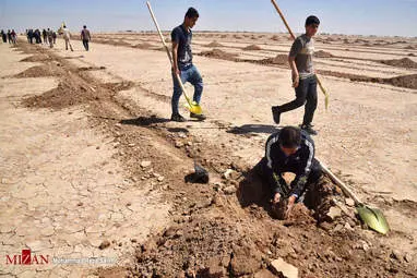 کاشت 4000 هزار هکتار نهال برای مبارزه با ریزگردها - خوزستان + تصاویر
