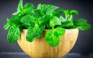 مواد غذایی مفیدی که مثل داروی ضدتهوع عمل می‌کنند
