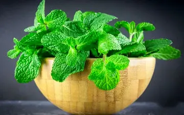 مواد غذایی مفیدی که مثل داروی ضدتهوع عمل می‌کنند