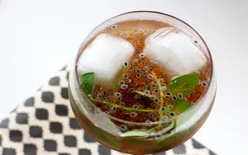 ناشتا خاکشیر با آب گرم بخور! | خواص بینظیر خاکشیر با آب گرم!