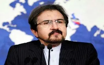 قاسمی صدور حکم حبس ابد برای علی سلمان را محکوم کرد