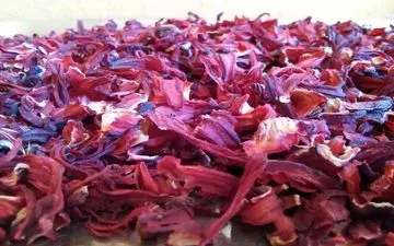 ثمرات شیرین مصرف چای ترش