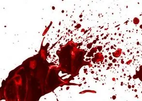 «چاقوی مرگبار، هدیه تولد قاتل بود»/ اعتراف متهم به قتل با یک «جمله» عجیب در دادگاه