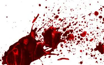 بن‌بست قضایی در پرونده قتل جگرکی شهریار؛ گذشت سه سال و صدور دو حکم نقض شده