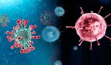 موارد ابتلا به آنفولانزا در این شهر ایران افزایش یاقت