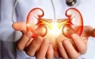 این نوشیدنی ها معروف به متخصص پودر کردن سنگ کلیه هستند