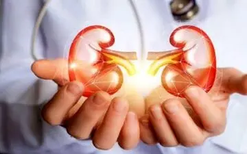 این نوشیدنی ها معروف به متخصص پودر کردن سنگ کلیه هستند