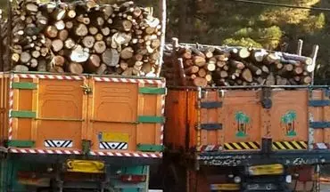 دستگیری ۹۰۰ قاچاقچی چوب طی ۶ ماه