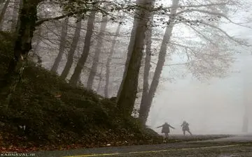 این جنگل زیبای رامسر رو از دست نده|جنگل دالخانی رامسر؛ جاذبه ای فوق العاده و تماشایی
