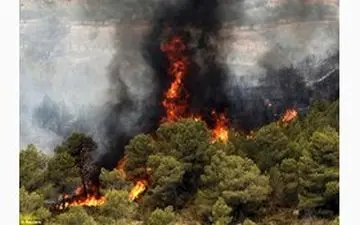 دستگیری عاملان آتش سوزی پارک ملی گلستان