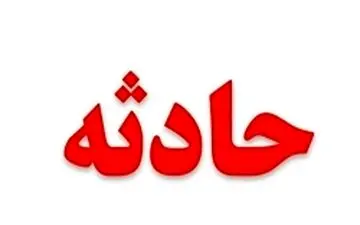  حمله گاو وحشی به دانش‌آموز دبستانی در مدرسه بدون دیوار