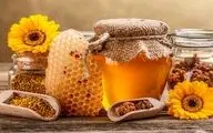 آذربایجان شرقی رتبه اول بسته بندی عسل در کشور