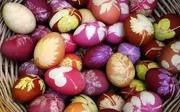  تخم مرغ یا سایر تخم پرندگان،کدام بهتر است؟