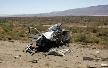 یکی از اساتید برجسته دانشگاه در تصادف جان باخت