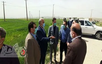 بازدید استاندار کرمانشاه و هیات همراه از پروژه گلخانه ۲۴ هکتاری تپه داراب خانه دشت ذهاب/ به روایت تصویر