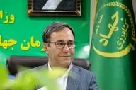 ۴۰ هکتار گلخانه جدید در لرستان احداث می‌شود