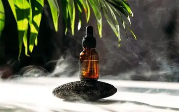 روش تمیز کردن خانه با اکالیپتوس؛ بدون هیچ شوینده ای