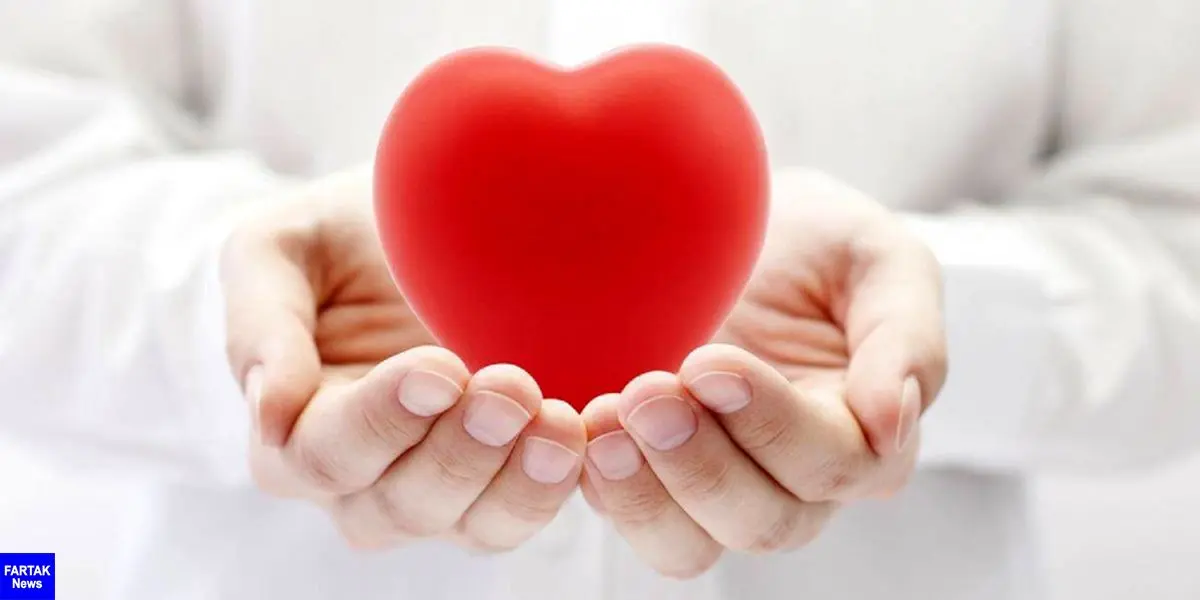 10 ابزار تشخیصی بیماری قلبی