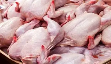 قیمت گوشت مرغ افزایش یافت / کمبودی برای تأمین گوشت مرغ وجود ندارد 