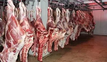 توزیع روزانه ۱۲۰ تن گوشت قرمز وارداتی در بازار